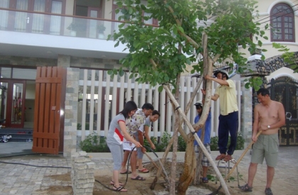 Công ty Vũ Minh khai trương văn phòng tại Đà Nẵng